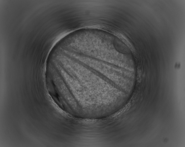 X0000095531036200801041241