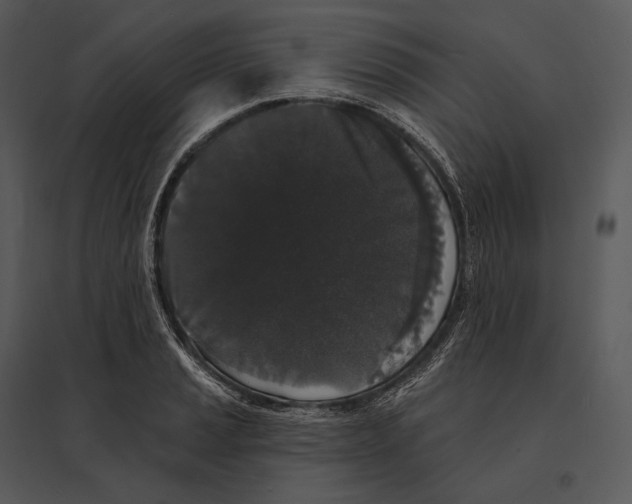 X0000095531037200801041241