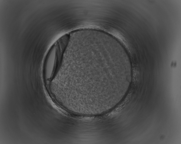 X0000095531038200801041241