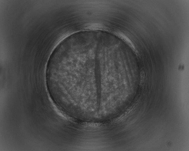 X0000095531039200801041241