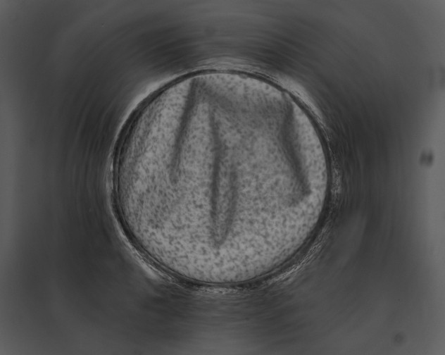 X0000095531040200801041241