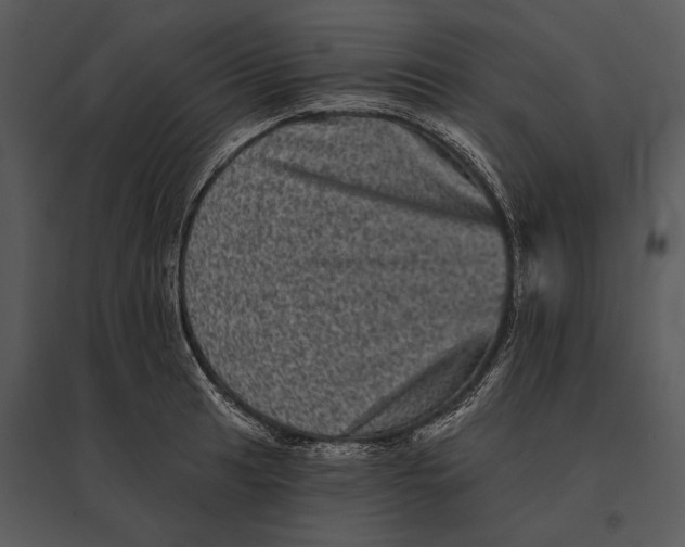 X0000095531041200801041241