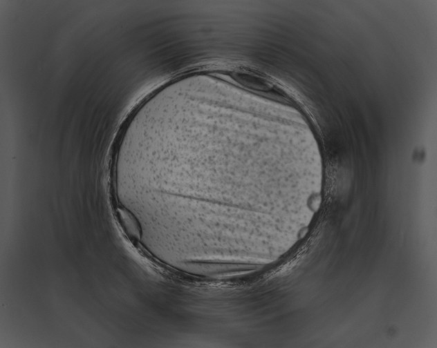 X0000095531042200801041241