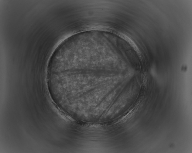 X0000095531043200801041241