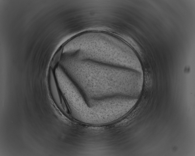 X0000095531044200801041241