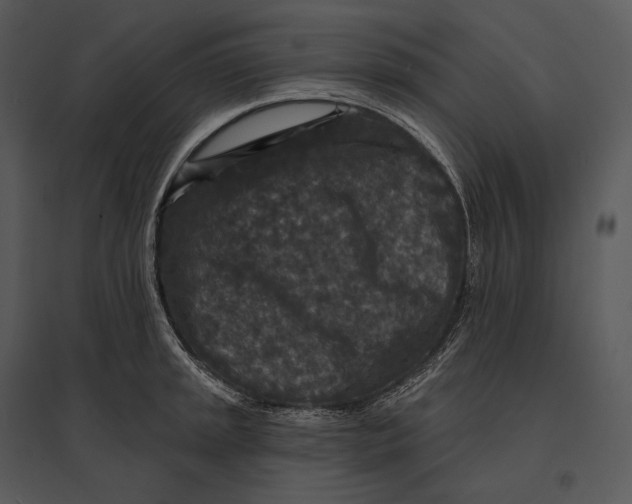 X0000095531045200801041241