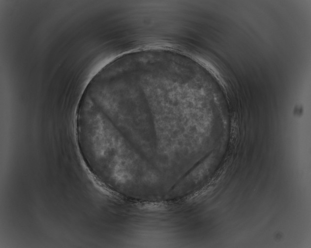 X0000095531047200801041241