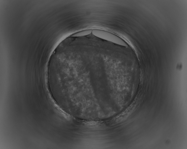 X0000095531048200801041241