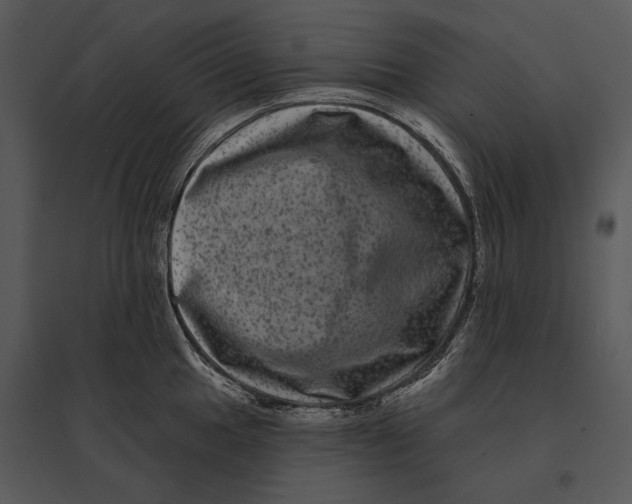 X0000095531049200801041241