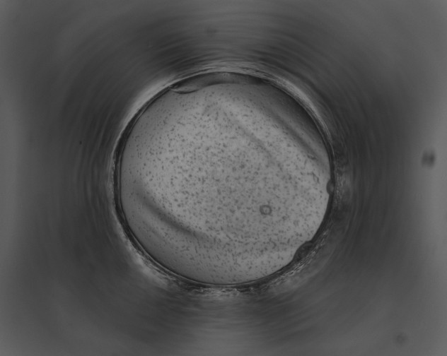 X0000095531050200801041241