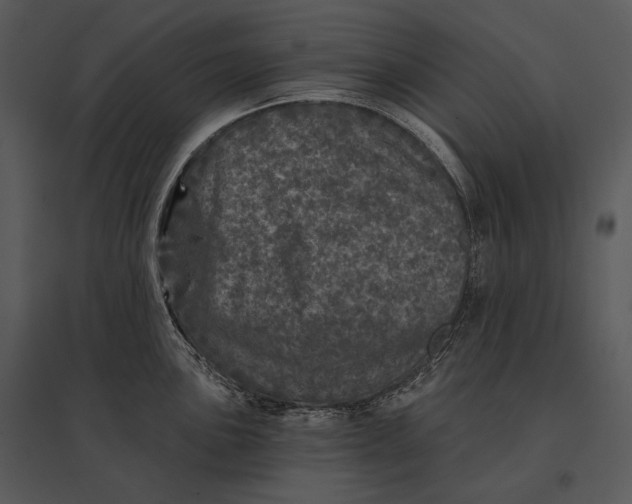 X0000095531051200801041241