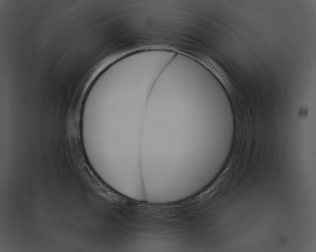 X0000095531052200801041241