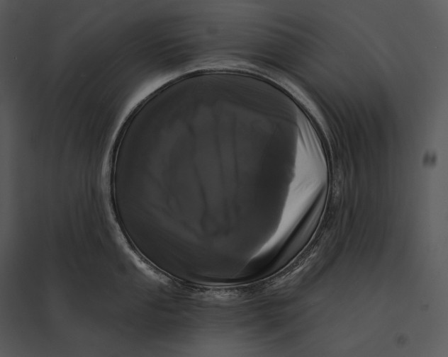 X0000095531053200801041241