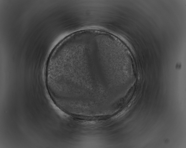 X0000095531054200801041241