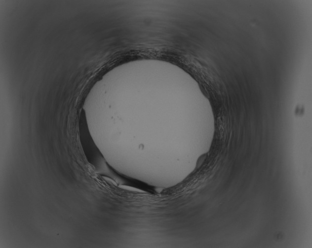 X0000095531057200801041240