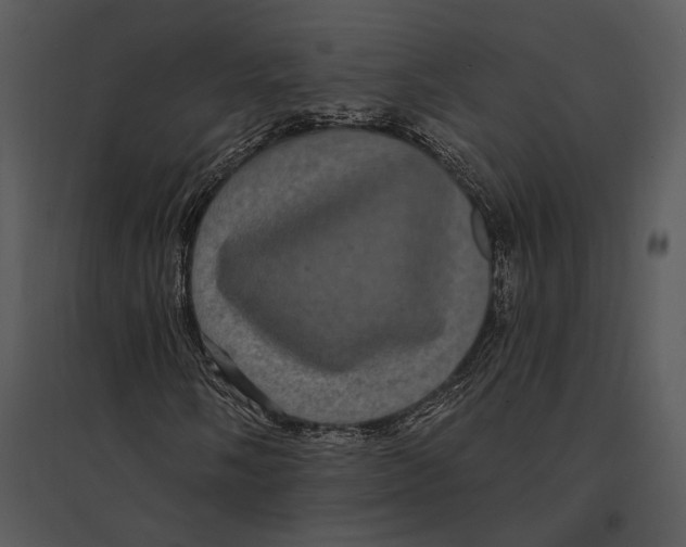 X0000095531058200801041240