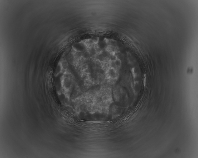 X0000095531059200801041240