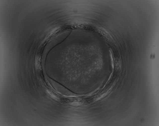 X0000095531060200801041240