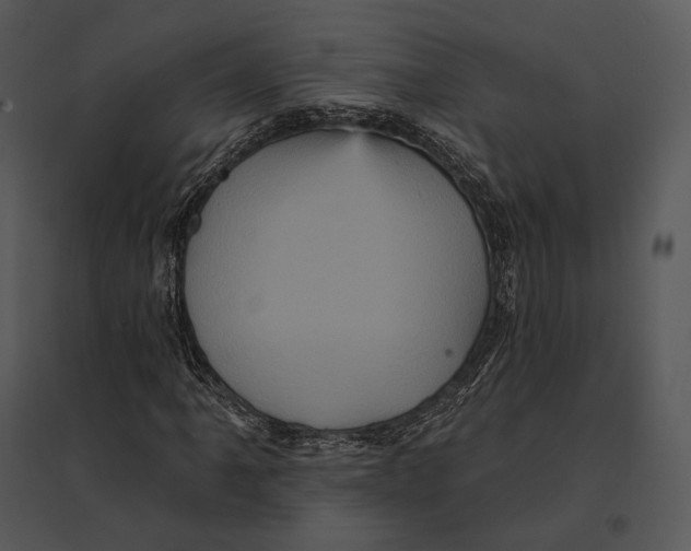 X0000095531061200801041240