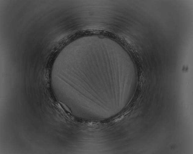 X0000095531062200801041240