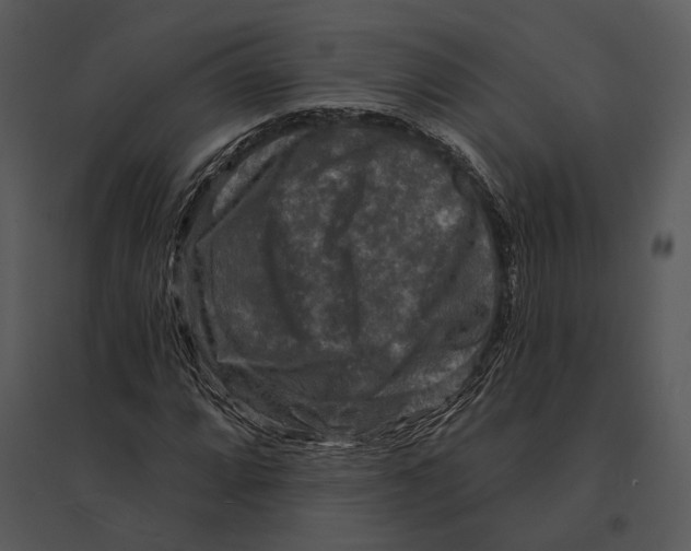 X0000095531064200801041240