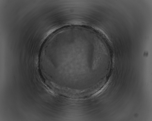 X0000095531065200801041240