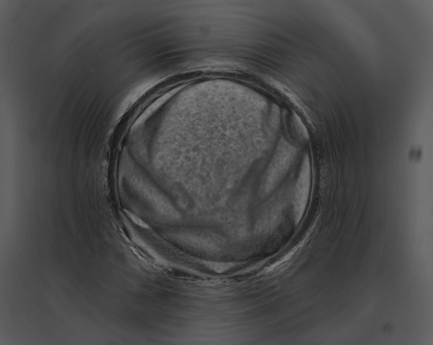 X0000095531066200801041240