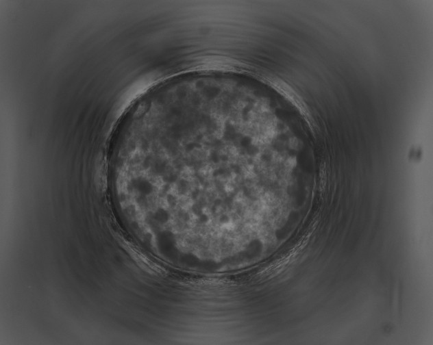 X0000095531067200801041240