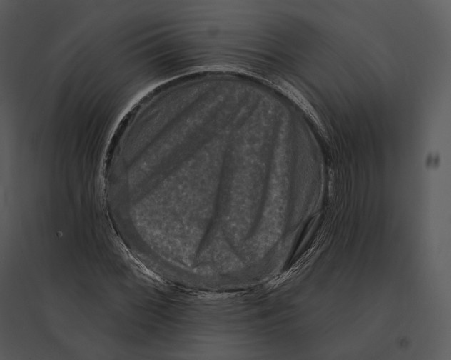 X0000095531068200801041240