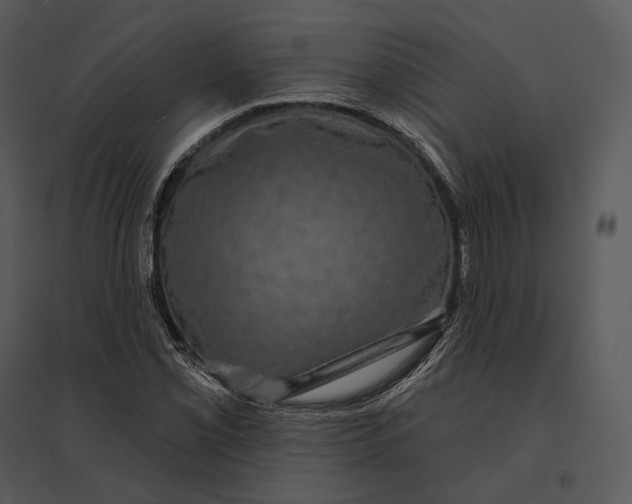 X0000095531069200801041240