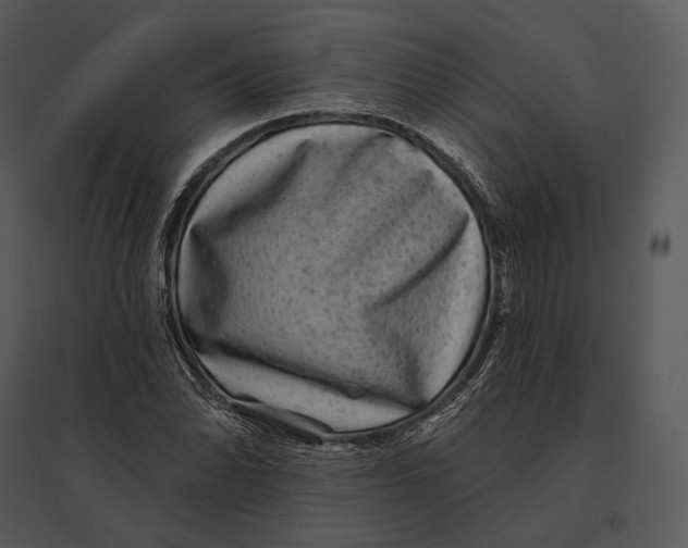 X0000095531070200801041240