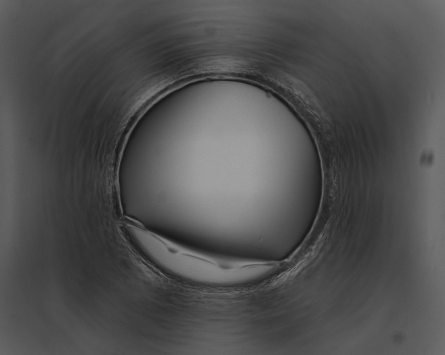 X0000095531073200801041240