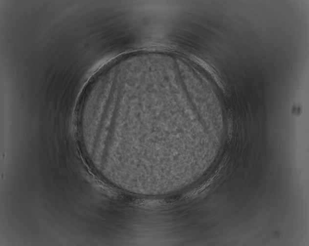 X0000095531074200801041240