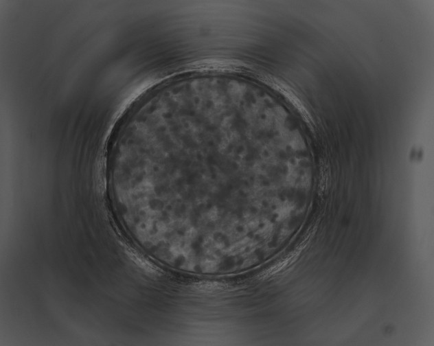 X0000095531075200801041240