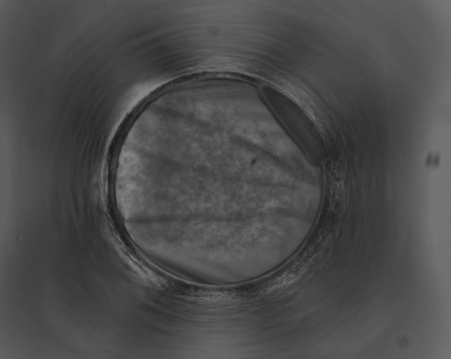 X0000095531076200801041240