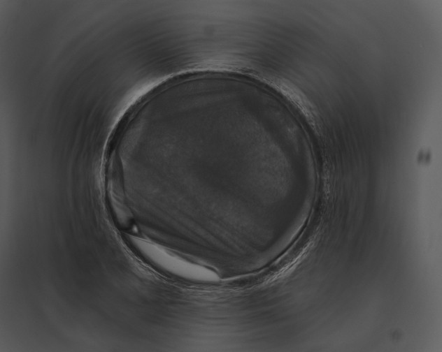 X0000095531077200801041240