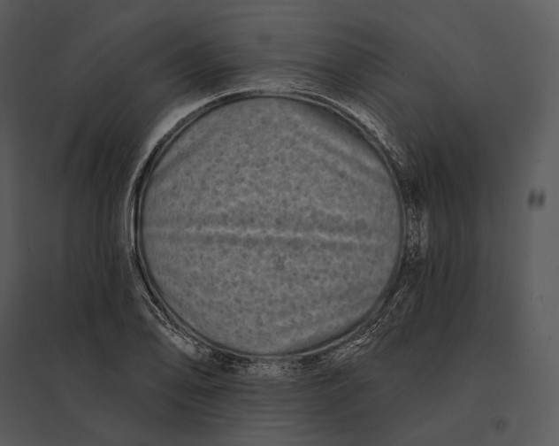 X0000095531078200801041240