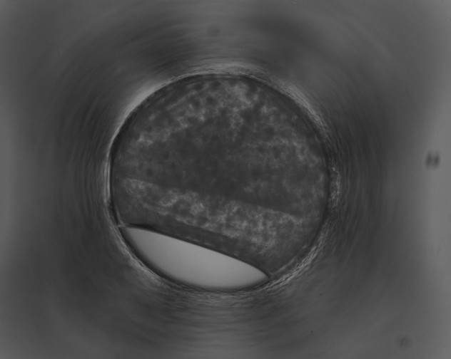 X0000095531079200801041240