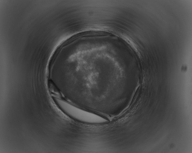 X0000095531080200801041240