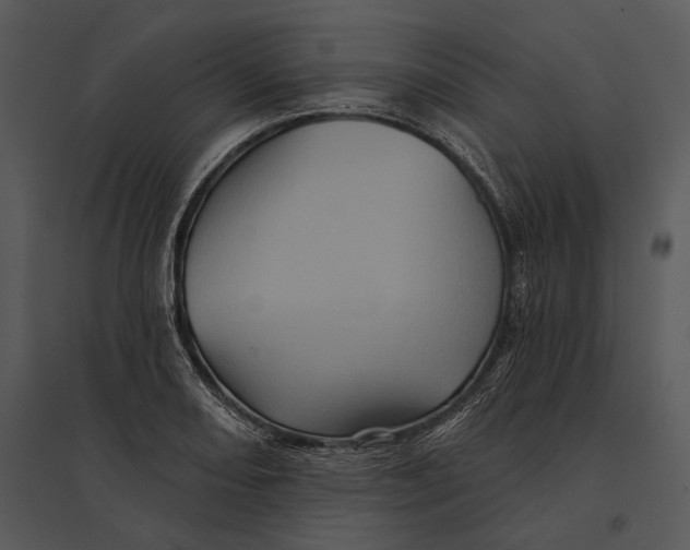 X0000095531082200801041240