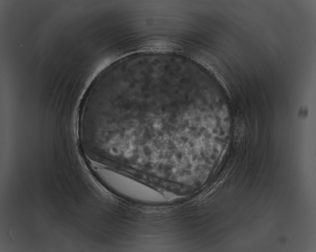 X0000095531083200801041240