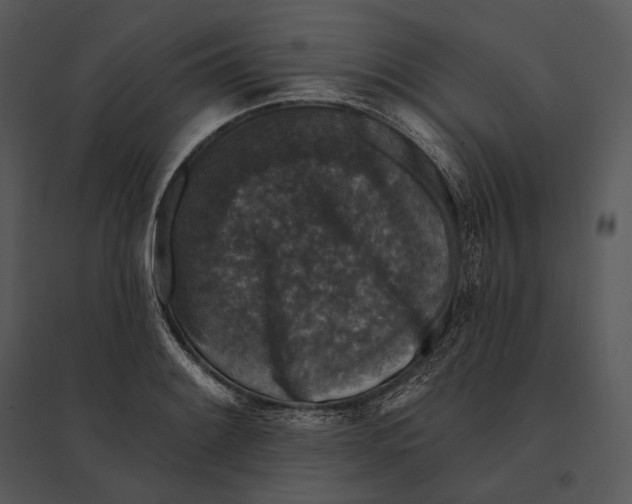 X0000095531084200801041240