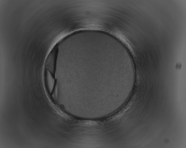 X0000095531085200801041240