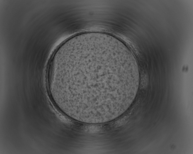 X0000095531086200801041240