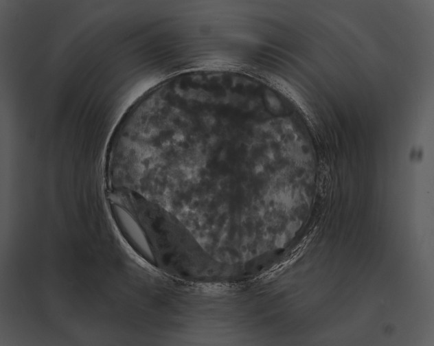 X0000095531087200801041240