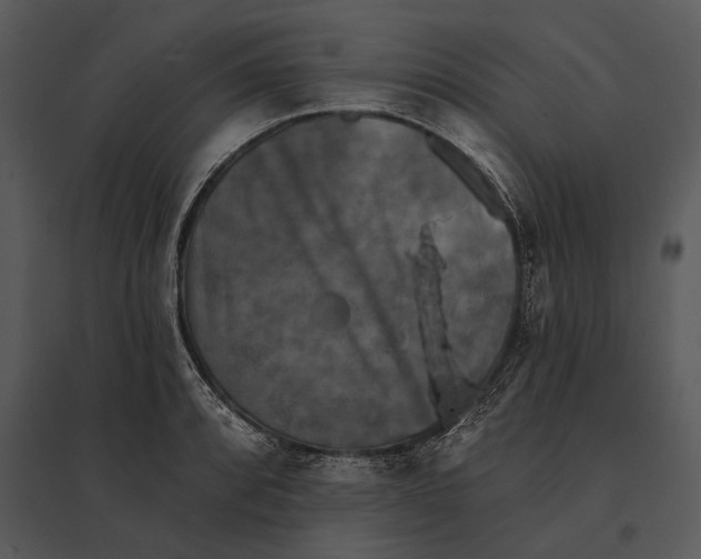 X0000095531088200801041240