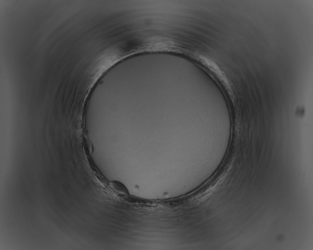 X0000095531089200801041240