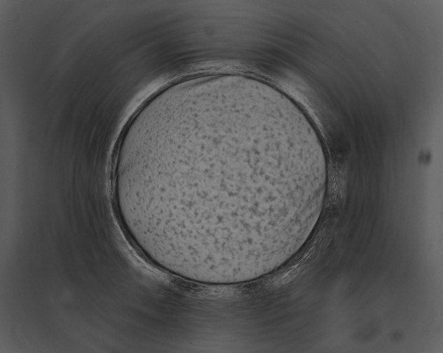 X0000095531090200801041240