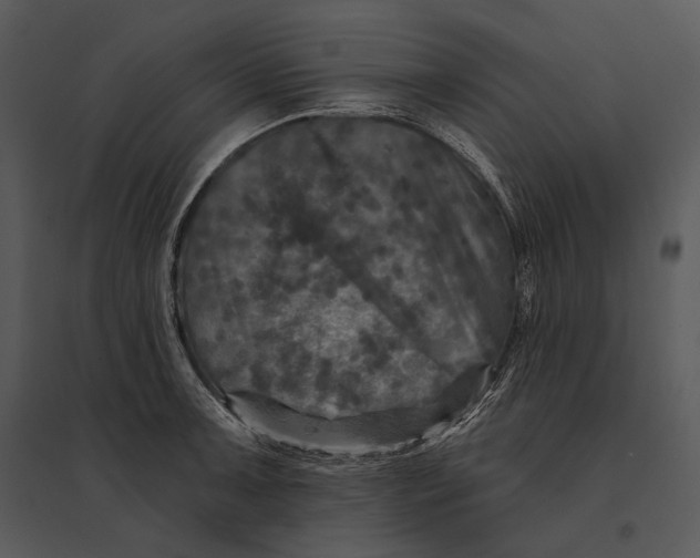 X0000095531091200801041240