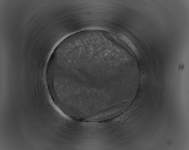 X0000095531092200801041240